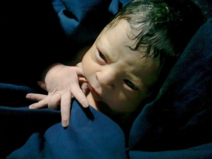 bebe2012