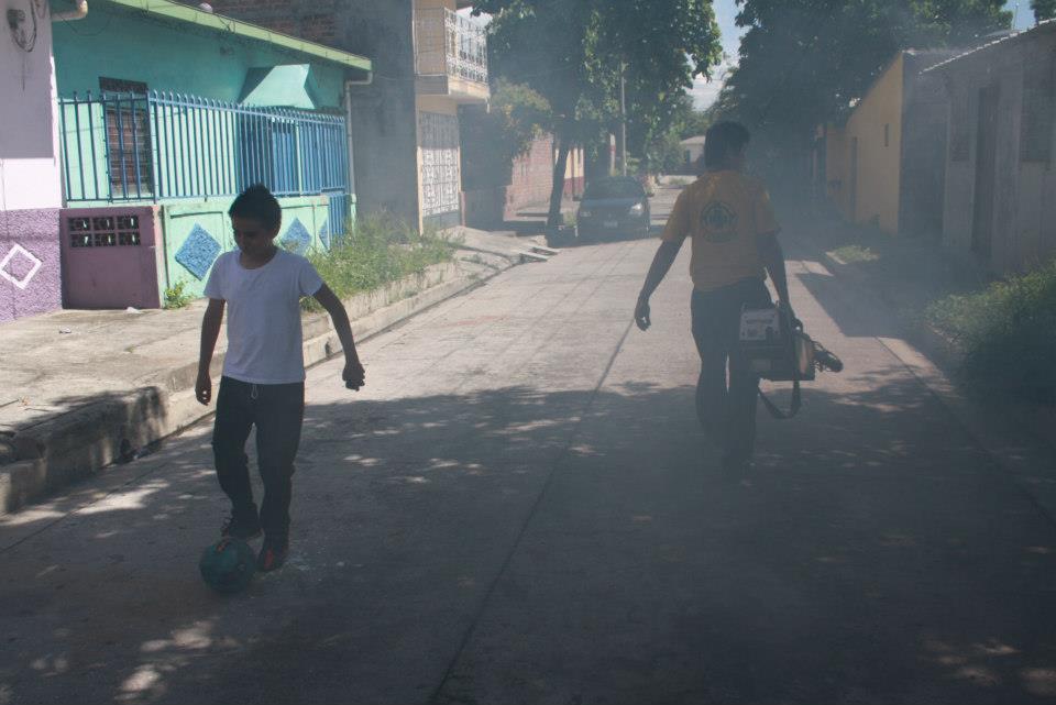 CDS Fumigation Team Threatened