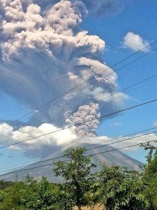 チャパラスティケ2013年12月29日