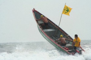 Comandos Baywatch 2011