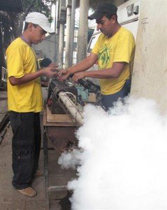 Fumigacion Feb 2010