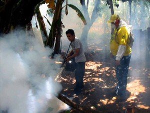 fumigan (1)