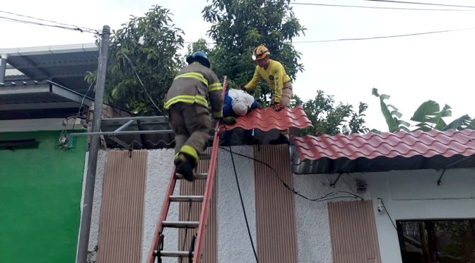 TRABAJADOR MUERE ELECTROCUTADO EN SAN MARTIN