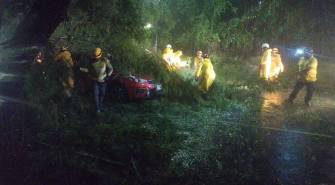 RESCATAN VICTIMAS ATRAPADAS DENTRO DE CARROS