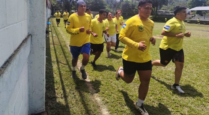 COMANDOS PREPARA NUEVOS ELEMENTOS USAR LIVIANO